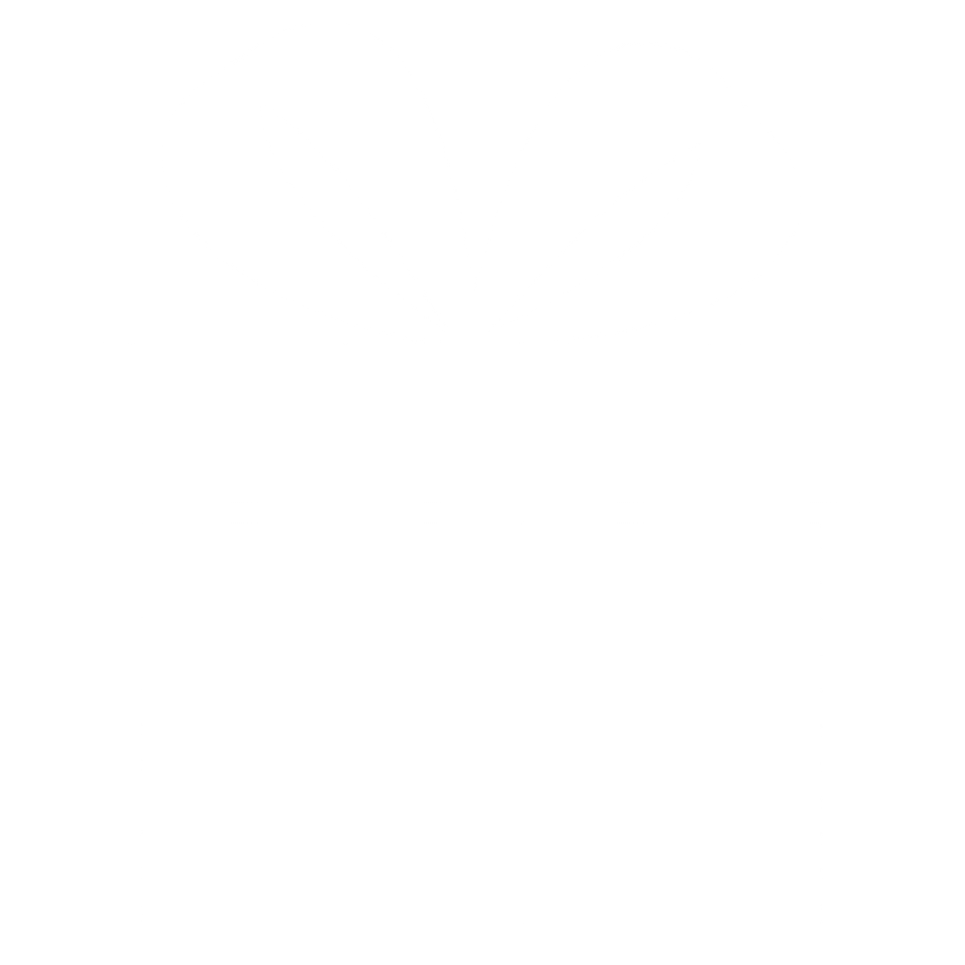 PROMO POHONEMAS33